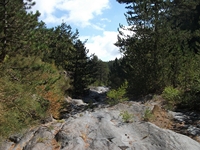 Torrente_Quarantore - 20110911 033.jpg